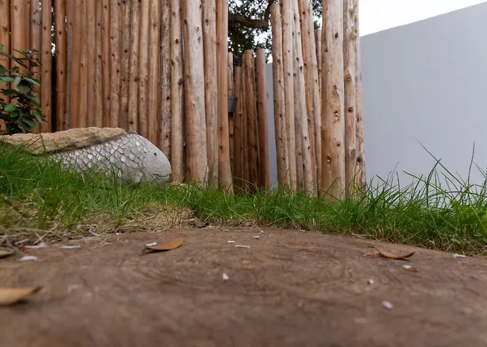 Graviana - Pedra Negra Charming House *