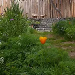 Graviana - Pedra Negra Charming House Apartamento Lagoa (Azores)