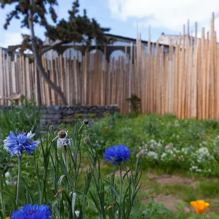 Graviana - Pedra Negra Charming House