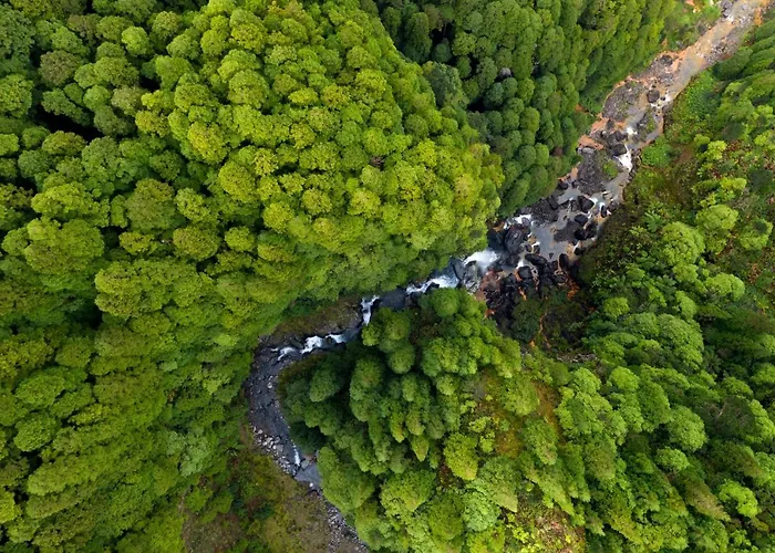 Apartament Graviana - Pedra Negra Charming House