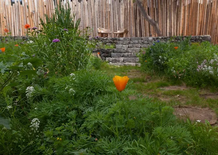 Graviana - Pedra Negra Charming House 아파트 라고아