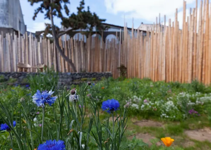 Graviana - Pedra Negra Charming House